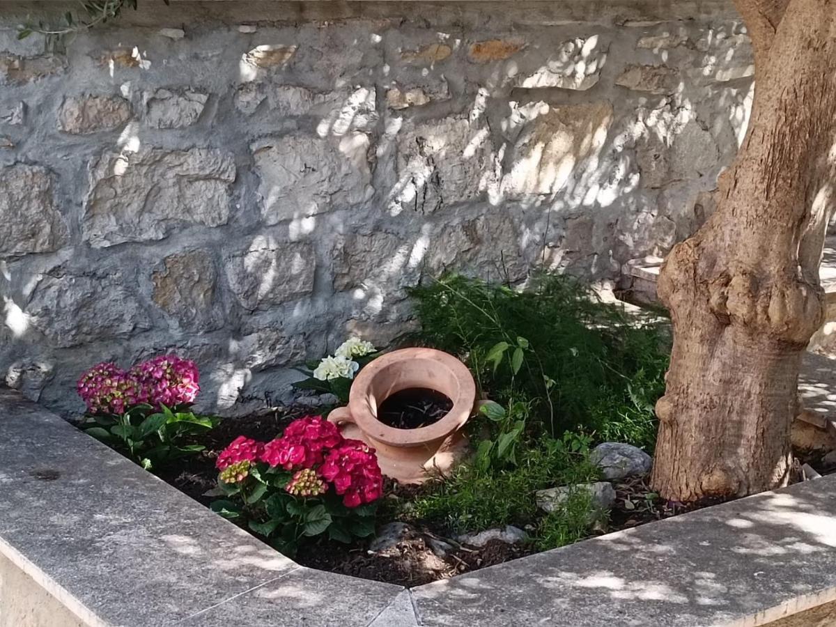 Diocletian Garden Centar Split Exterior photo